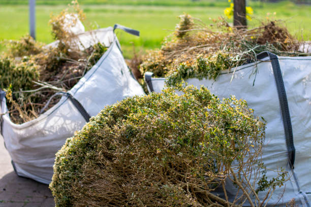 Best Electronics and E-Waste Disposal  in Durant, IA