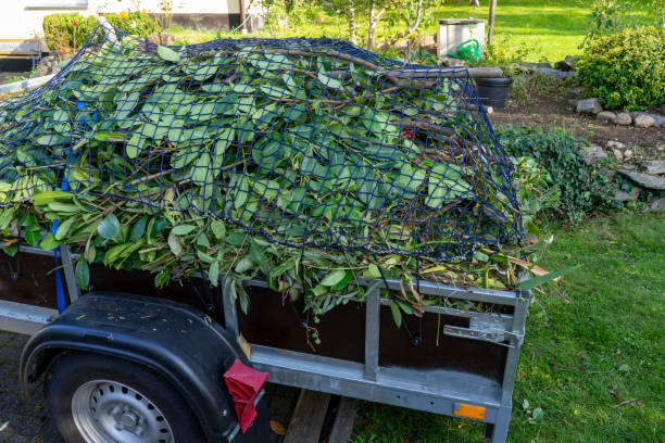 Best Property Management Cleanouts  in Durant, IA